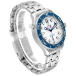 Omega Seamaster 233.30.41.21.01.001 Master Co-Axial - Image 2